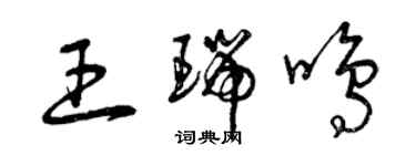 曾慶福王瑞鳴草書個性簽名怎么寫