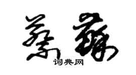 朱錫榮蔡蘇草書個性簽名怎么寫