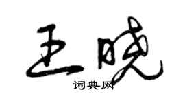 曾慶福王曉草書個性簽名怎么寫