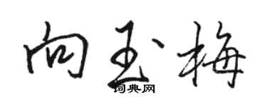 駱恆光向玉梅行書個性簽名怎么寫