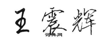 駱恆光王震輝行書個性簽名怎么寫