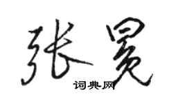 駱恆光張冕行書個性簽名怎么寫