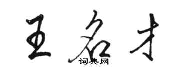 駱恆光王名才行書個性簽名怎么寫