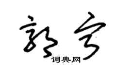 朱錫榮郭寧草書個性簽名怎么寫