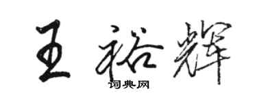駱恆光王裕輝行書個性簽名怎么寫