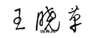 駱恆光王曉革草書個性簽名怎么寫