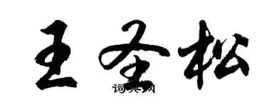 胡問遂王聖松行書個性簽名怎么寫