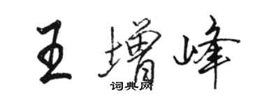 駱恆光王增峰行書個性簽名怎么寫