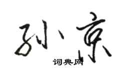 駱恆光孫京行書個性簽名怎么寫