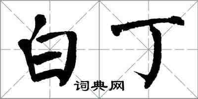 翁闓運白丁楷書怎么寫