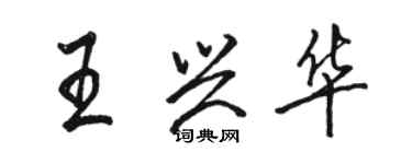 駱恆光王興華行書個性簽名怎么寫