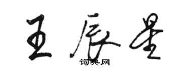 駱恆光王辰星行書個性簽名怎么寫