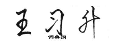 駱恆光王習升行書個性簽名怎么寫