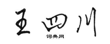 駱恆光王四川行書個性簽名怎么寫