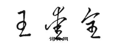 駱恆光王愛全草書個性簽名怎么寫