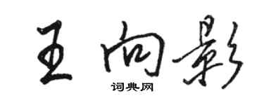 駱恆光王向影行書個性簽名怎么寫