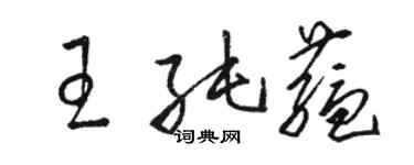 駱恆光王純蘊草書個性簽名怎么寫