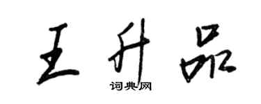 王正良王升品行書個性簽名怎么寫
