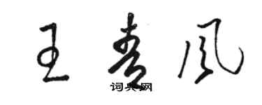 駱恆光王青風草書個性簽名怎么寫