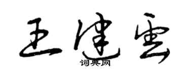 曾慶福王健雲草書個性簽名怎么寫