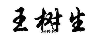 胡問遂王樹生行書個性簽名怎么寫