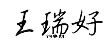 王正良王瑞好行書個性簽名怎么寫