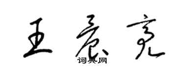 梁錦英王晨亮草書個性簽名怎么寫