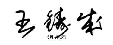朱錫榮王鑄成草書個性簽名怎么寫