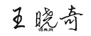 駱恆光王曉奇行書個性簽名怎么寫