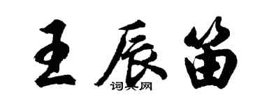 胡問遂王辰笛行書個性簽名怎么寫