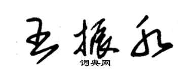 朱錫榮王振水草書個性簽名怎么寫