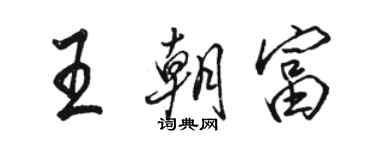 駱恆光王朝富行書個性簽名怎么寫