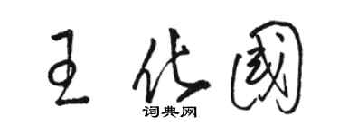 駱恆光王化國草書個性簽名怎么寫