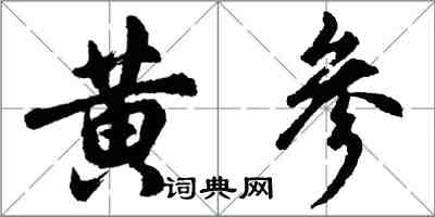 胡問遂黃參行書怎么寫