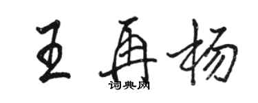 駱恆光王再楊行書個性簽名怎么寫