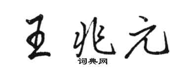 駱恆光王兆元行書個性簽名怎么寫