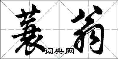 胡問遂蓑翁行書怎么寫