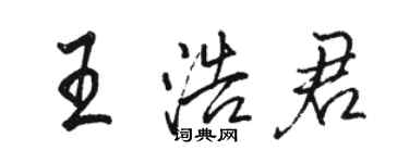 駱恆光王浩君行書個性簽名怎么寫