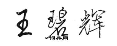 駱恆光王碧輝行書個性簽名怎么寫