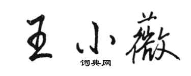 駱恆光王小薇行書個性簽名怎么寫