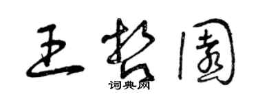 曾慶福王哲園草書個性簽名怎么寫