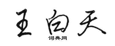 駱恆光王白天行書個性簽名怎么寫