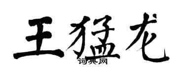 翁闓運王猛龍楷書個性簽名怎么寫