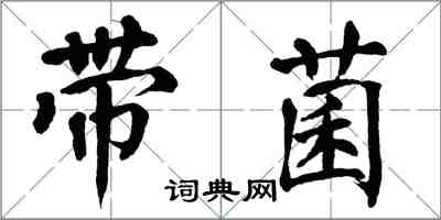 翁闓運帶菌楷書怎么寫