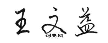 駱恆光王文益行書個性簽名怎么寫