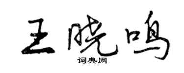 曾慶福王曉鳴行書個性簽名怎么寫