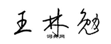 梁錦英王林勉草書個性簽名怎么寫
