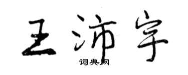 曾慶福王沛宇行書個性簽名怎么寫