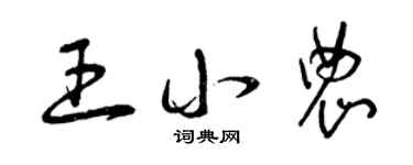 曾慶福王小農草書個性簽名怎么寫