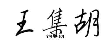 王正良王集胡行書個性簽名怎么寫